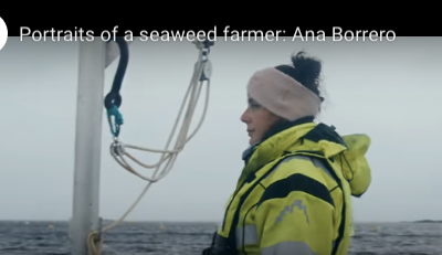 Nordic Sustainability and Seaweed