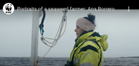 Ana Borrero, seaweed farmer